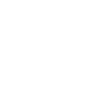SSL SECURE