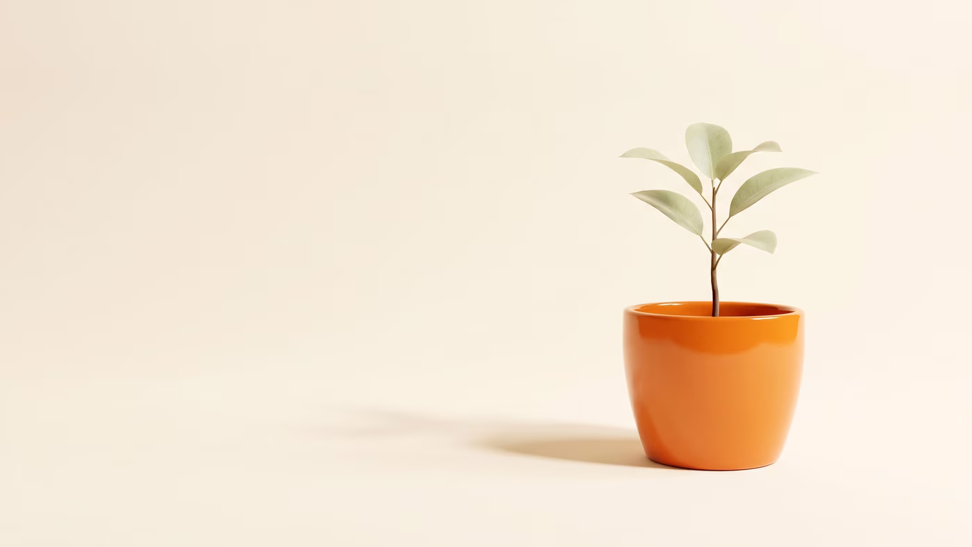 Best AI Store Builders for Skincare Brands