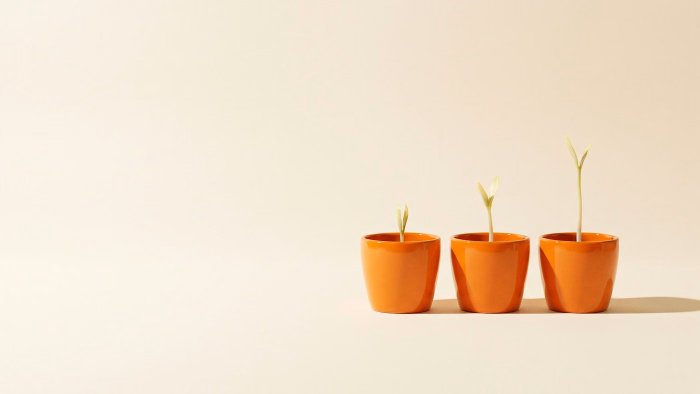 8 Best Notify! Back in Stock Alternatives for Shopify in 2026