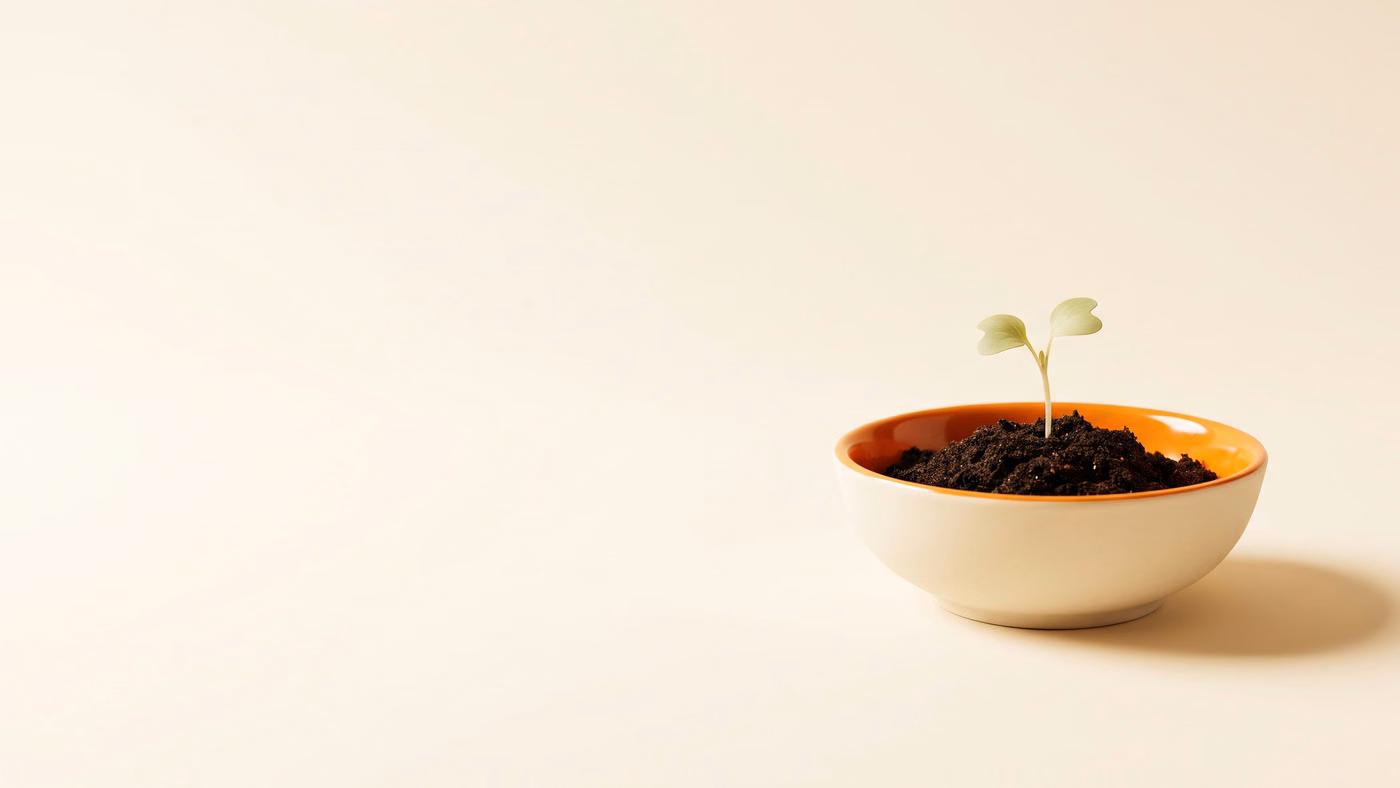 8 Best Yanet Back in Stock Alternatives for Shopify in 2026