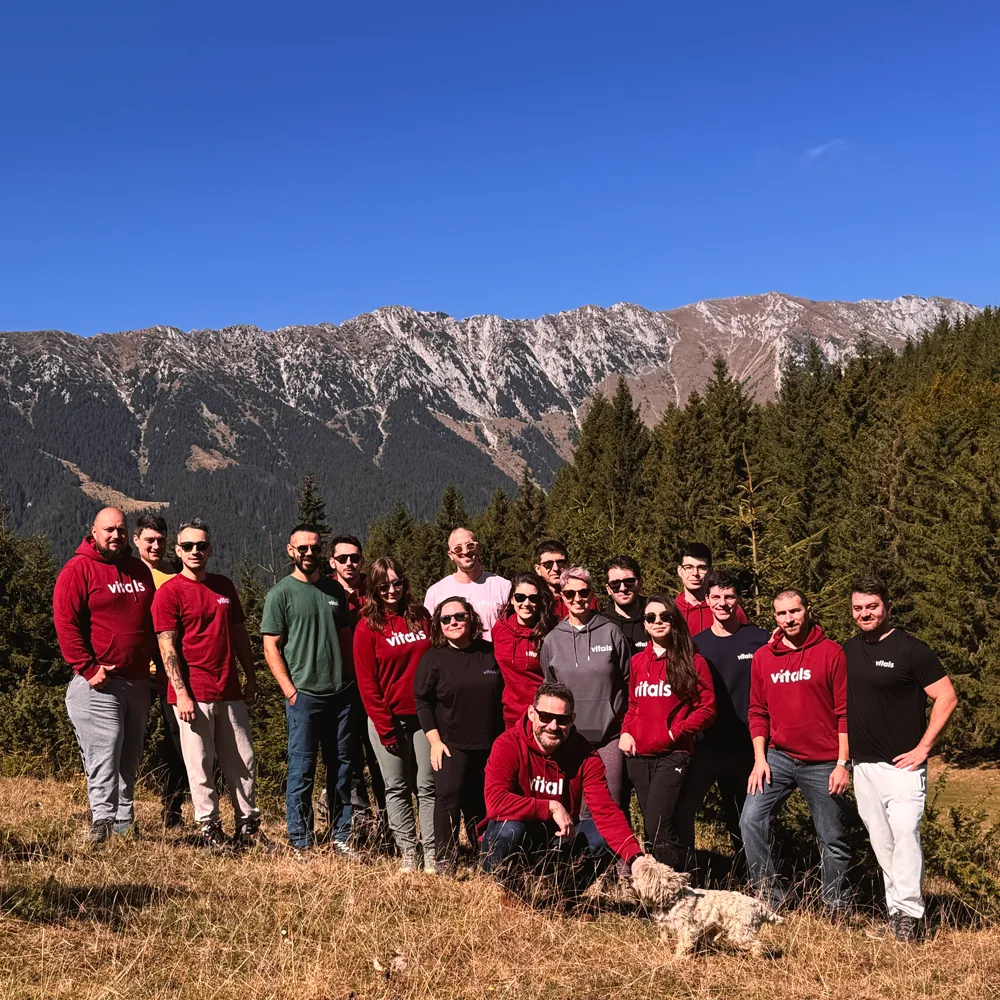 The team on a mountain trip